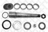 STELLOX 84-16002-SX Repair Kit, kingpin